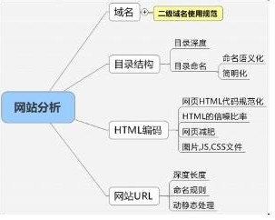 SEO学习步骤(新手如何学习seo)